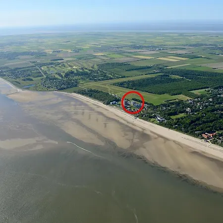 Wattkoenig